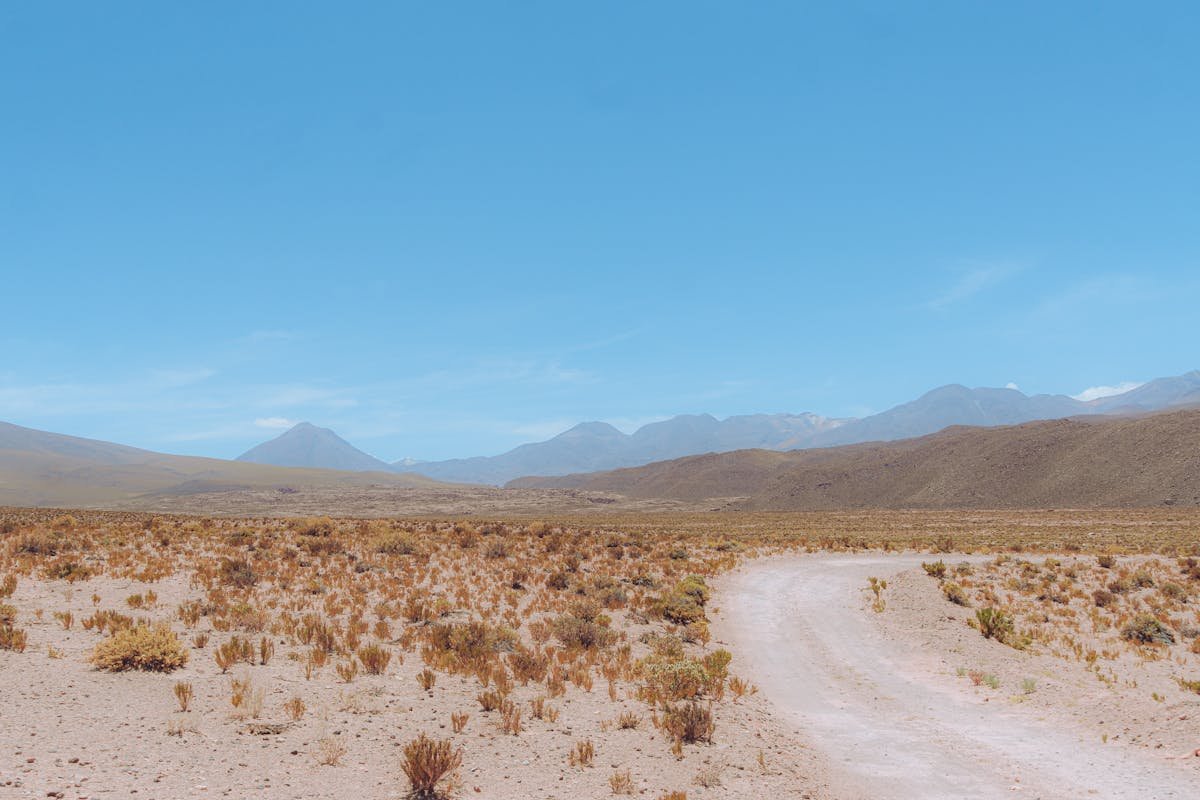 A winding desert road stretching through the Atacama region of Chile under vast blue skies