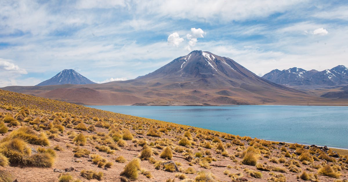 Andean mountains and lake under a clear sky in Chile