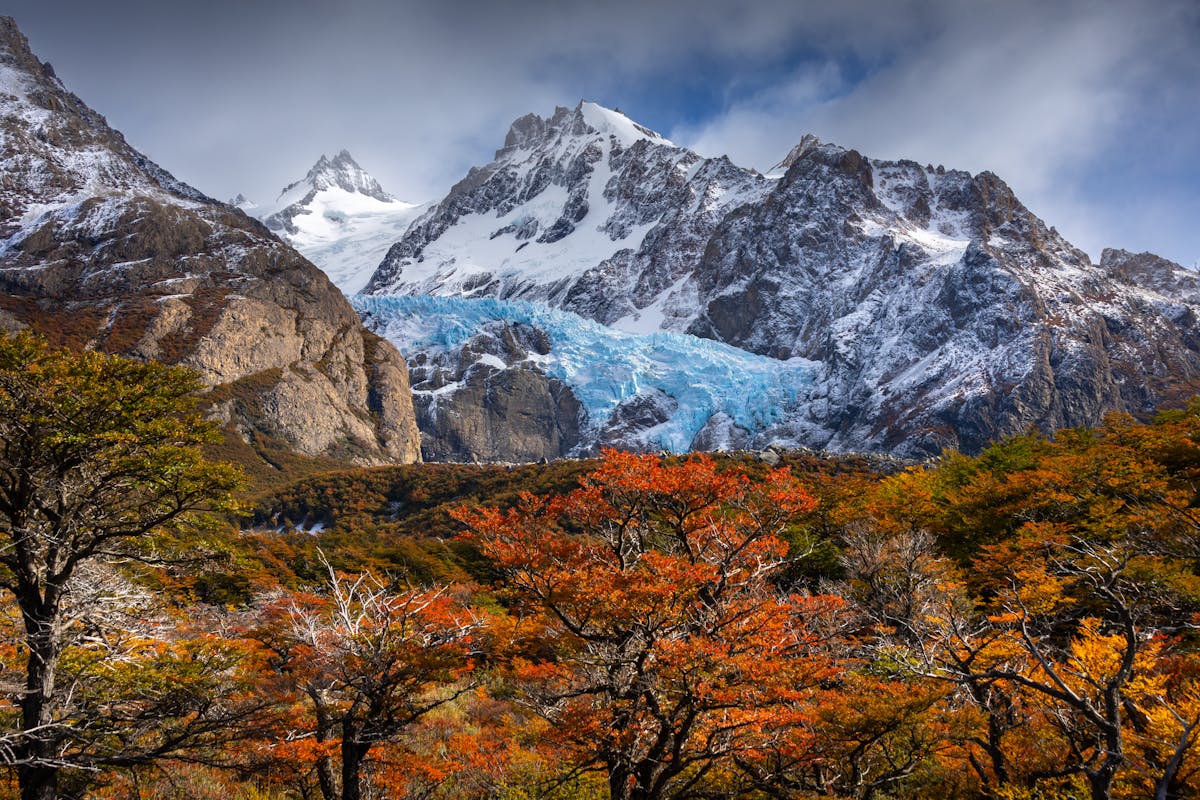 Snow-capped Patagonian mountains with colorful autumn foliage in foreground