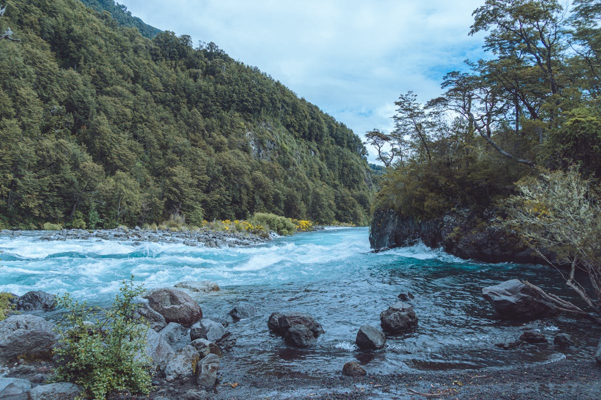 River flowing through forested mountains in Los Lagos Chile