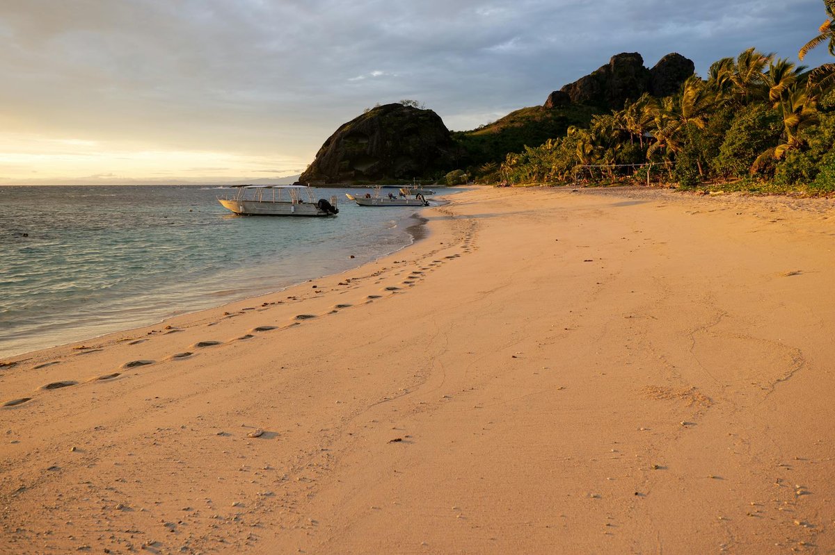 Palm-lined sandy beach on Easter Island with moai statues visible in the background