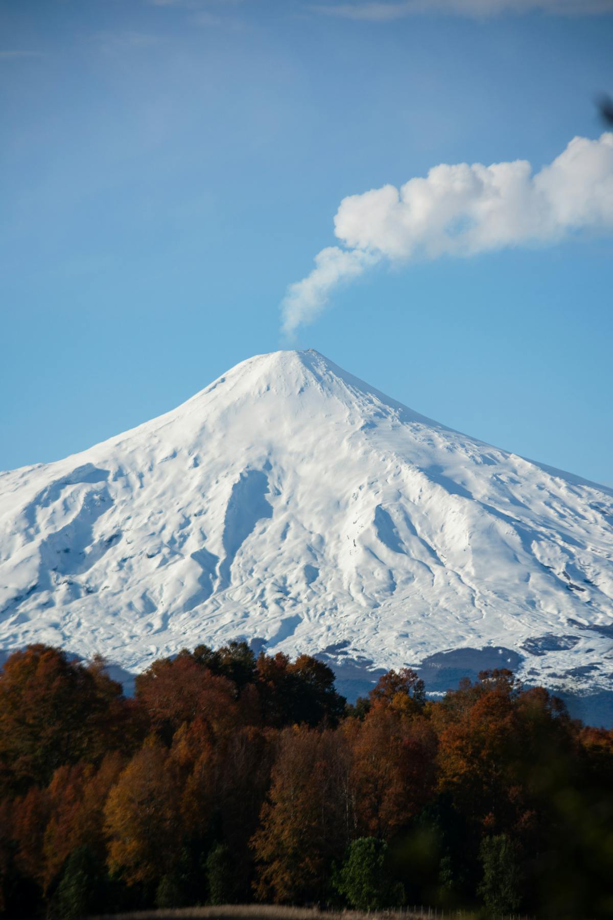 Snow-capped Villarrica Volcano with autumn foliage in the Chilean Lake District