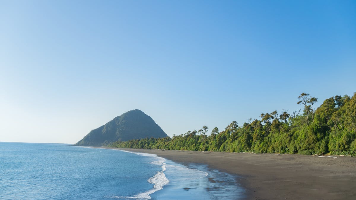 Coastal landscape with lush vegetation and rocky shoreline in southern Chile
