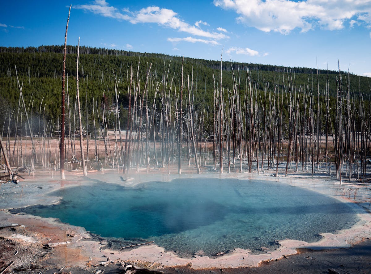 Natural thermal hot spring pool surrounded by bare trees and natural rock formations