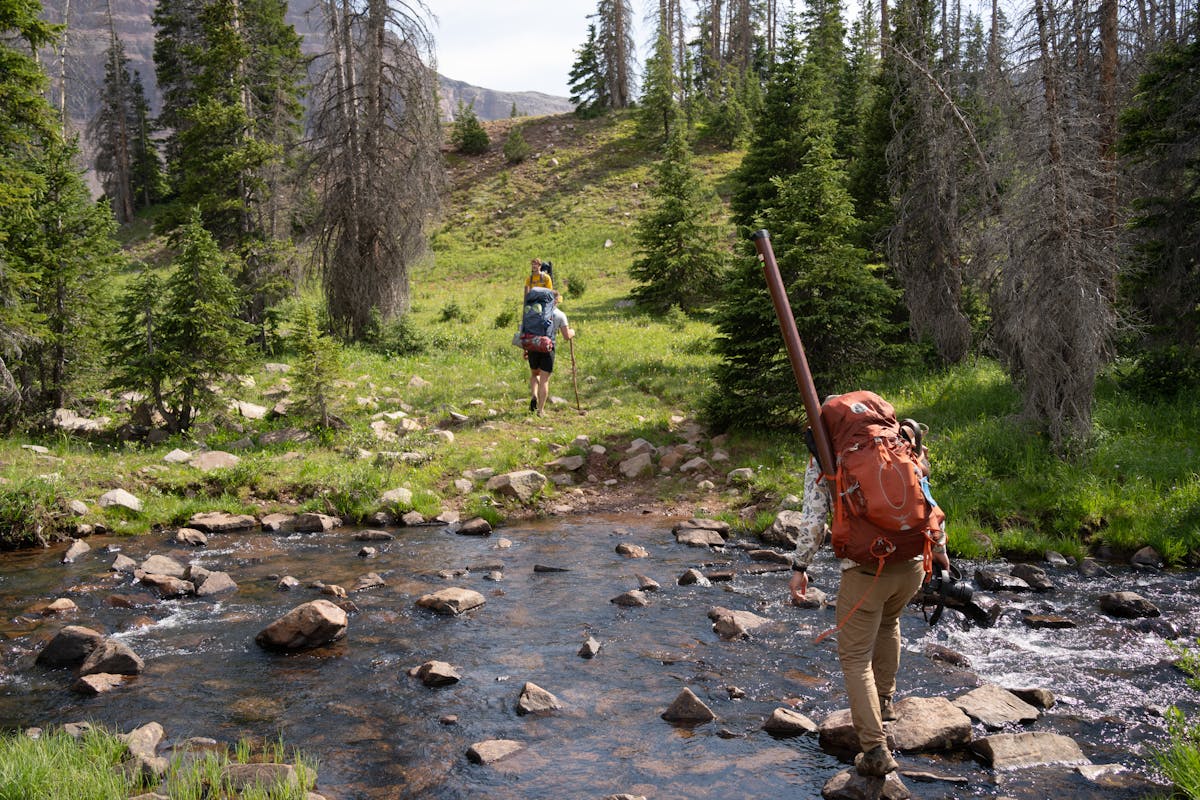 Hikers crossing a stream in a lush forested valley