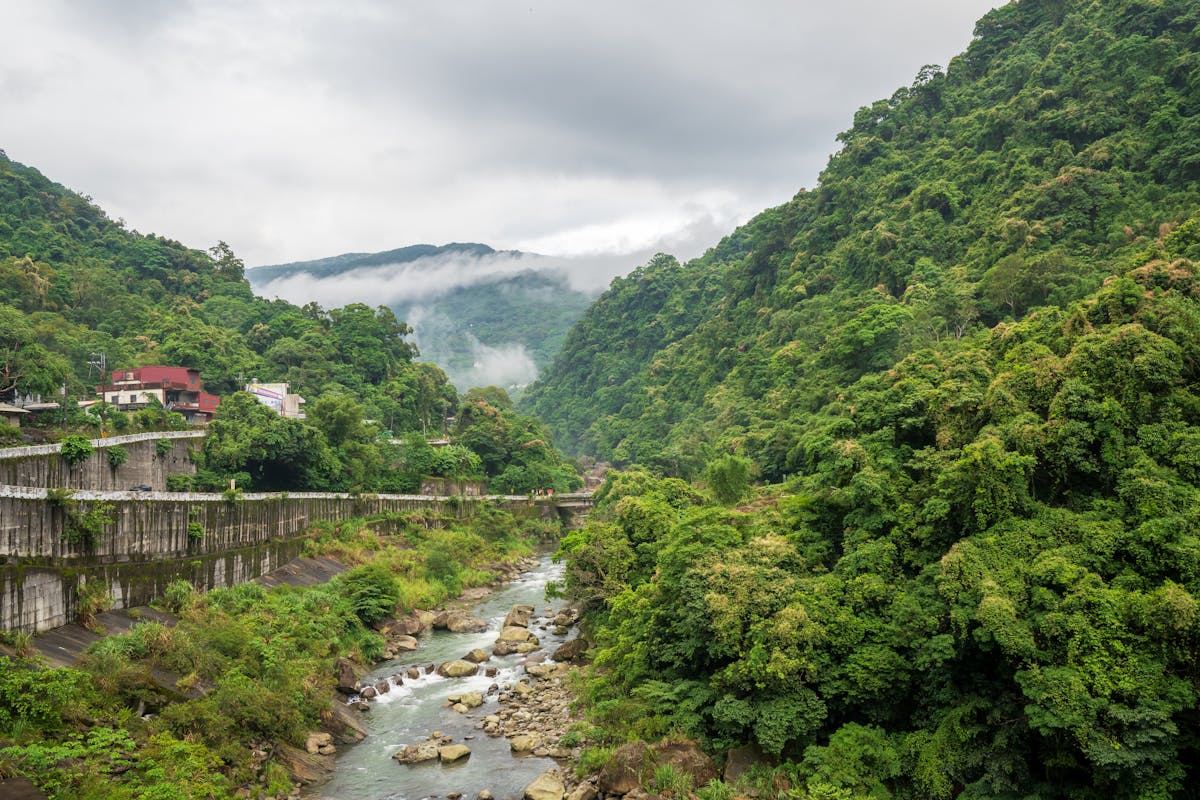 Aerial view of a lush green valley with a river flowing through forested mountains