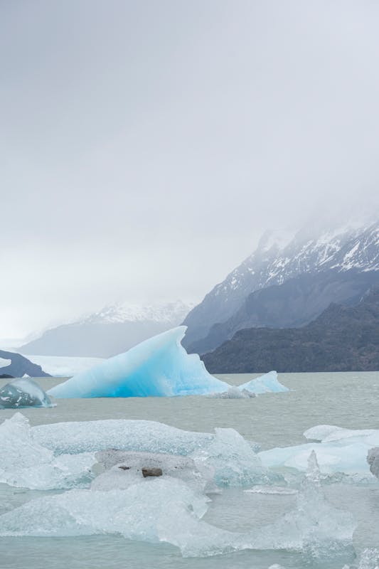 Icebergs floating in Lago Grey with mountains in the background at Torres del Paine