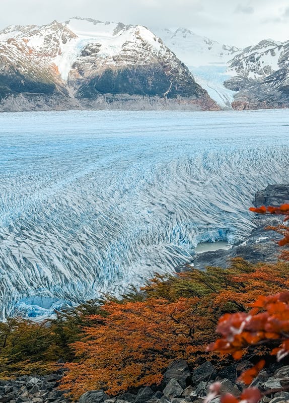 Panoramic view of Grey Glacier with autumn foliage and mountain peaks in Patagonia