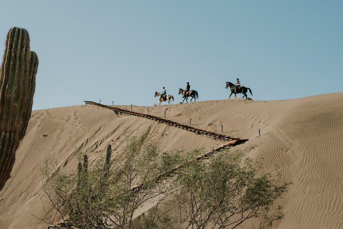 Three horseback riders ascending golden sand dunes under a clear blue sky