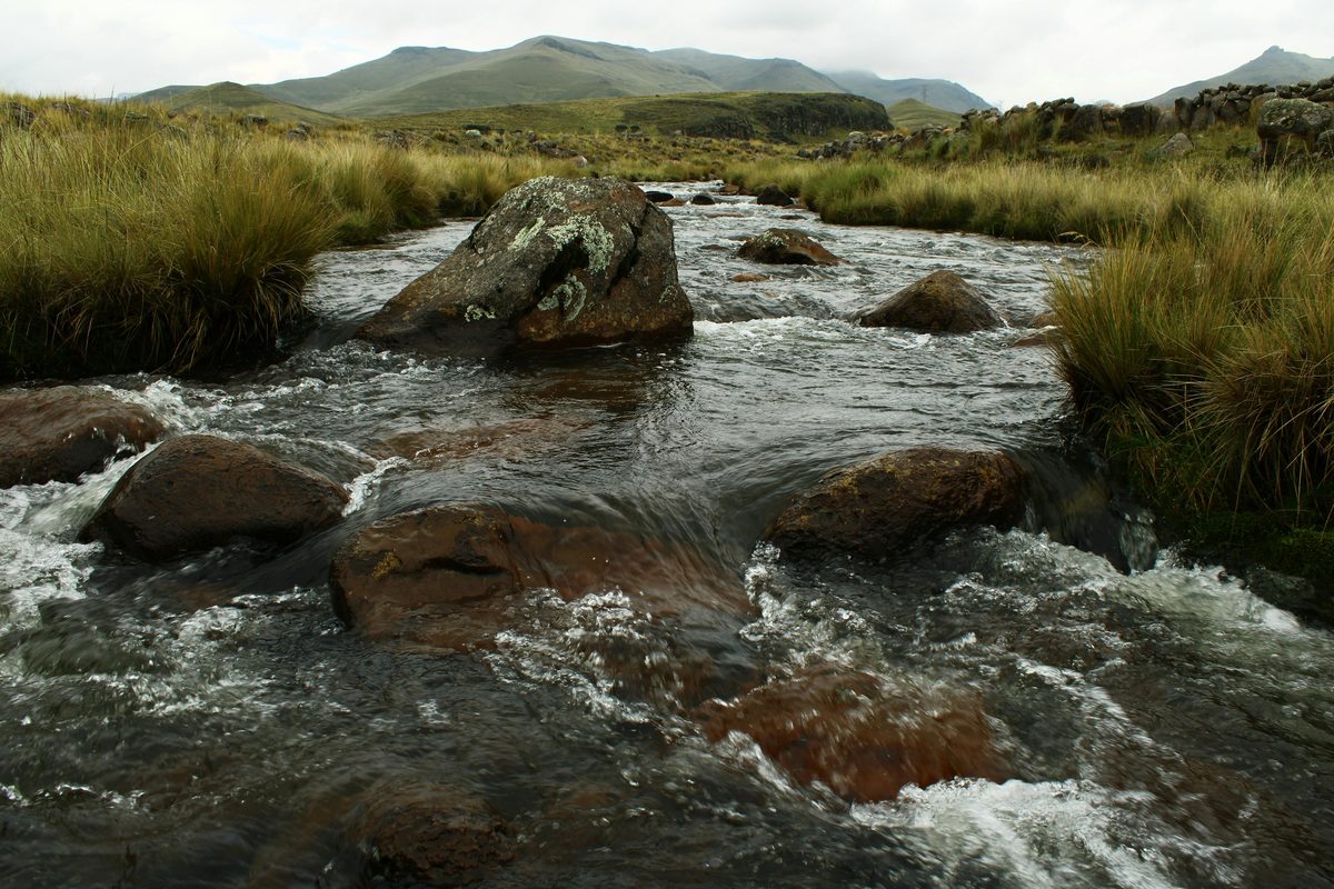Mountain stream flowing through a grassy highland landscape with rocks and hills