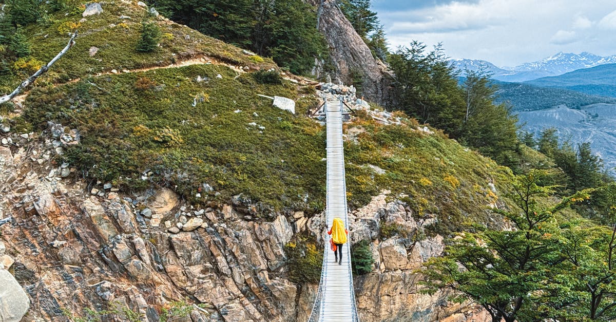Person crossing a suspension bridge in the Magallanes region of Chilean Patagonia surrounded by forest
