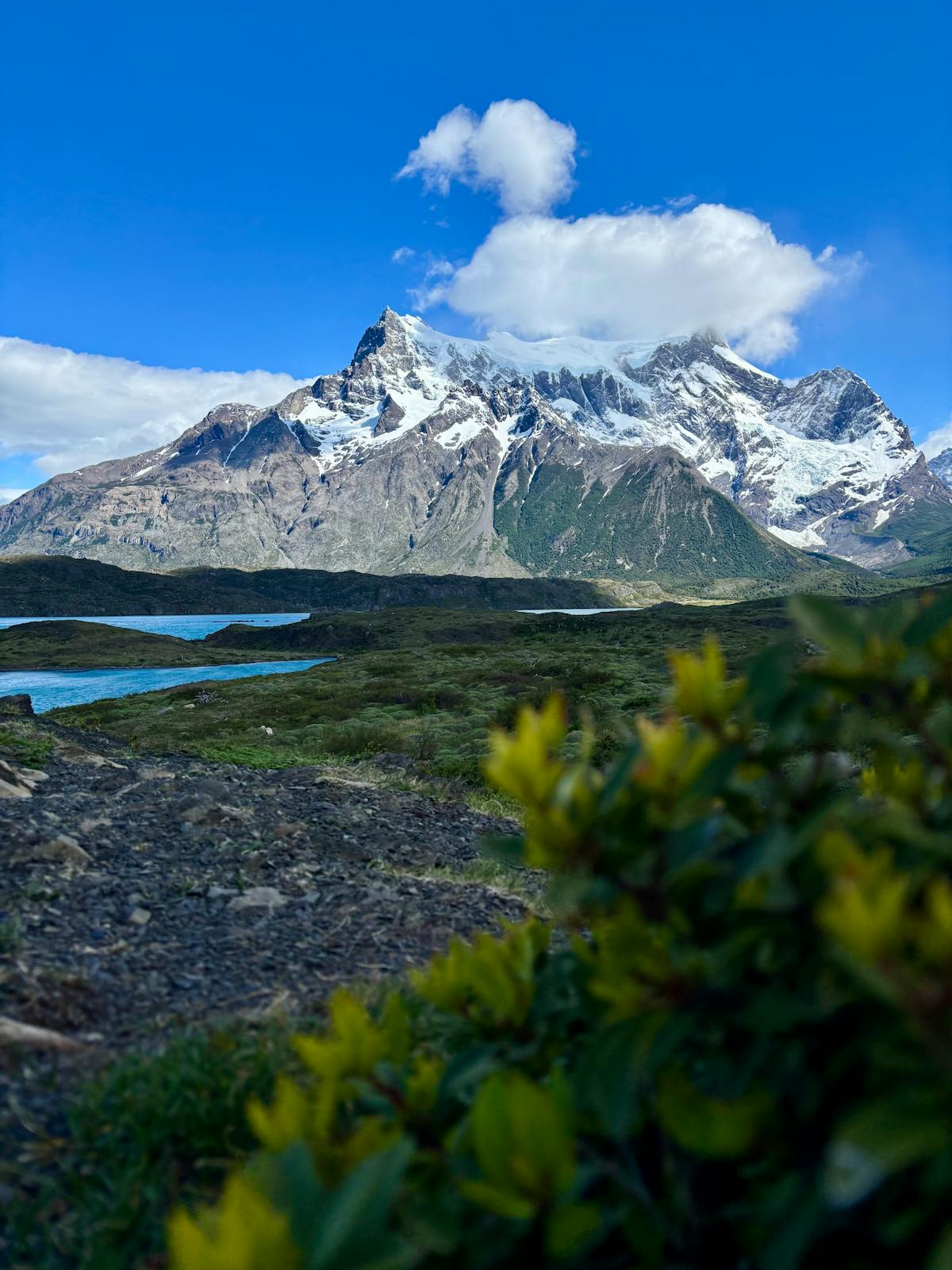 Stunning view of jagged peaks in Torres del Paine with blue sky and green vegetation