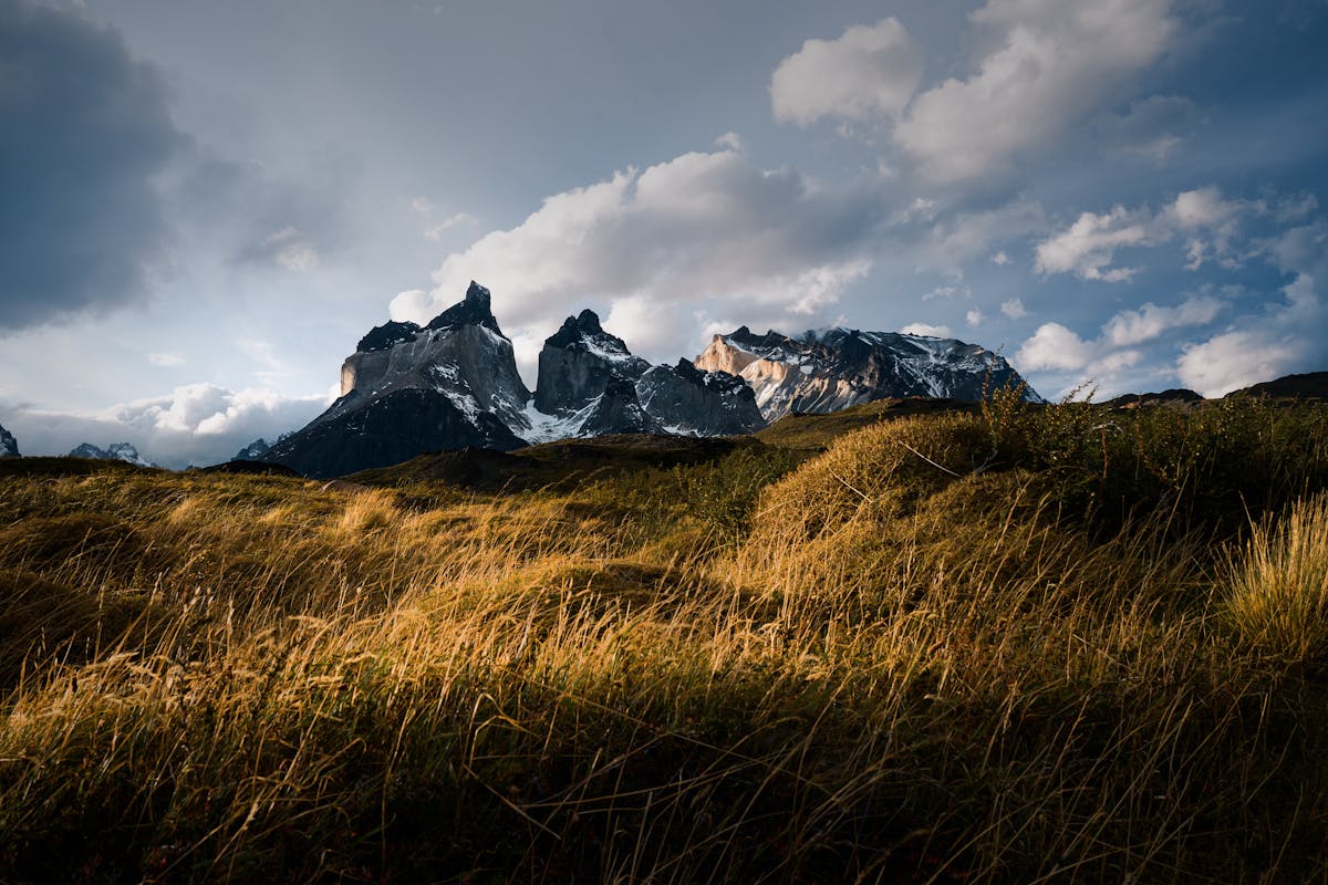 Golden grassland with Torres del Paine mountains and clouds in background