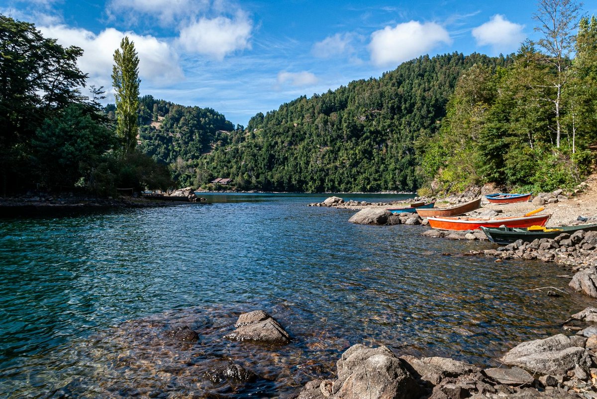 Colorful boats on a river surrounded by forest in southern Chile