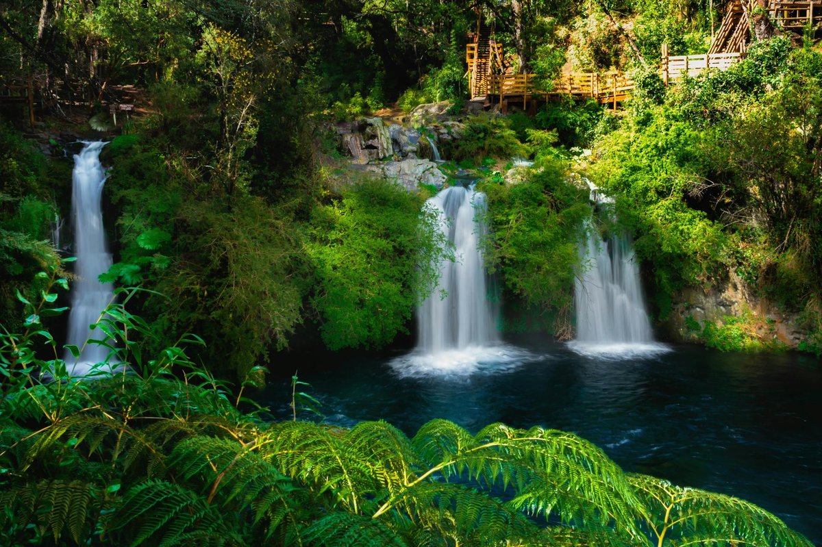 Cascading waterfalls surrounded by lush green forest in Chile
