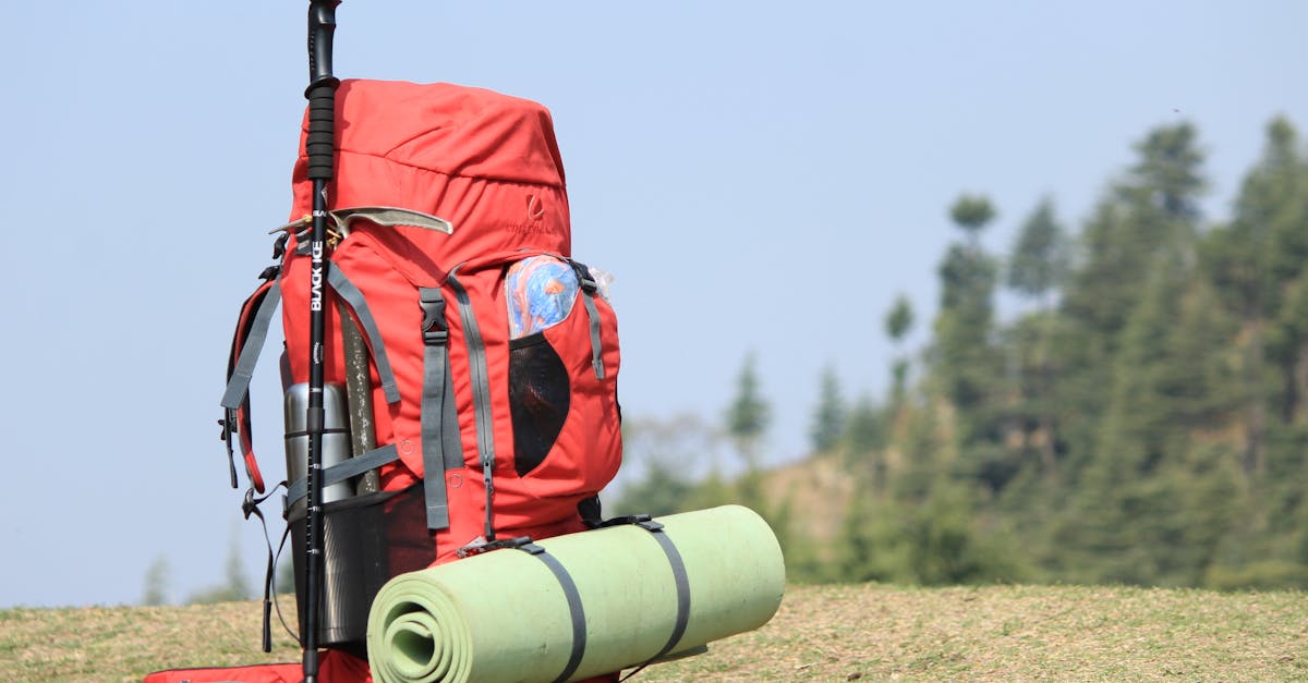 Hiking backpacks and outdoor gear displayed in a shop