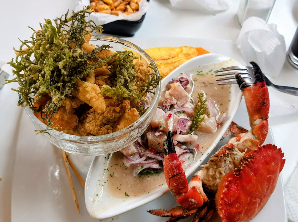 Seafood platter featuring fried calamari, ceviche, and crab claw