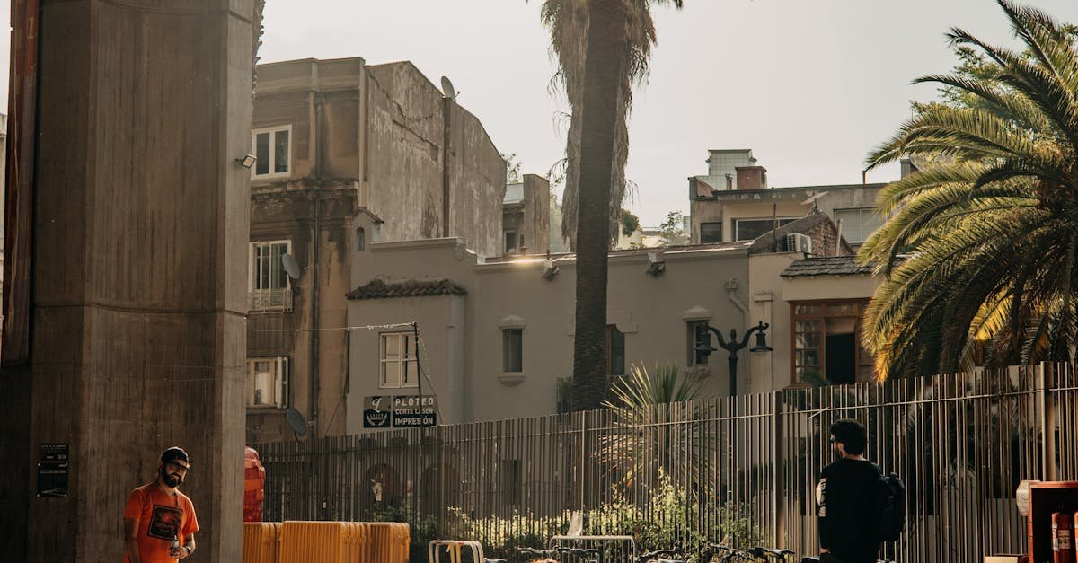People enjoying a sunny day in a Santiago park with palm trees and urban skyline