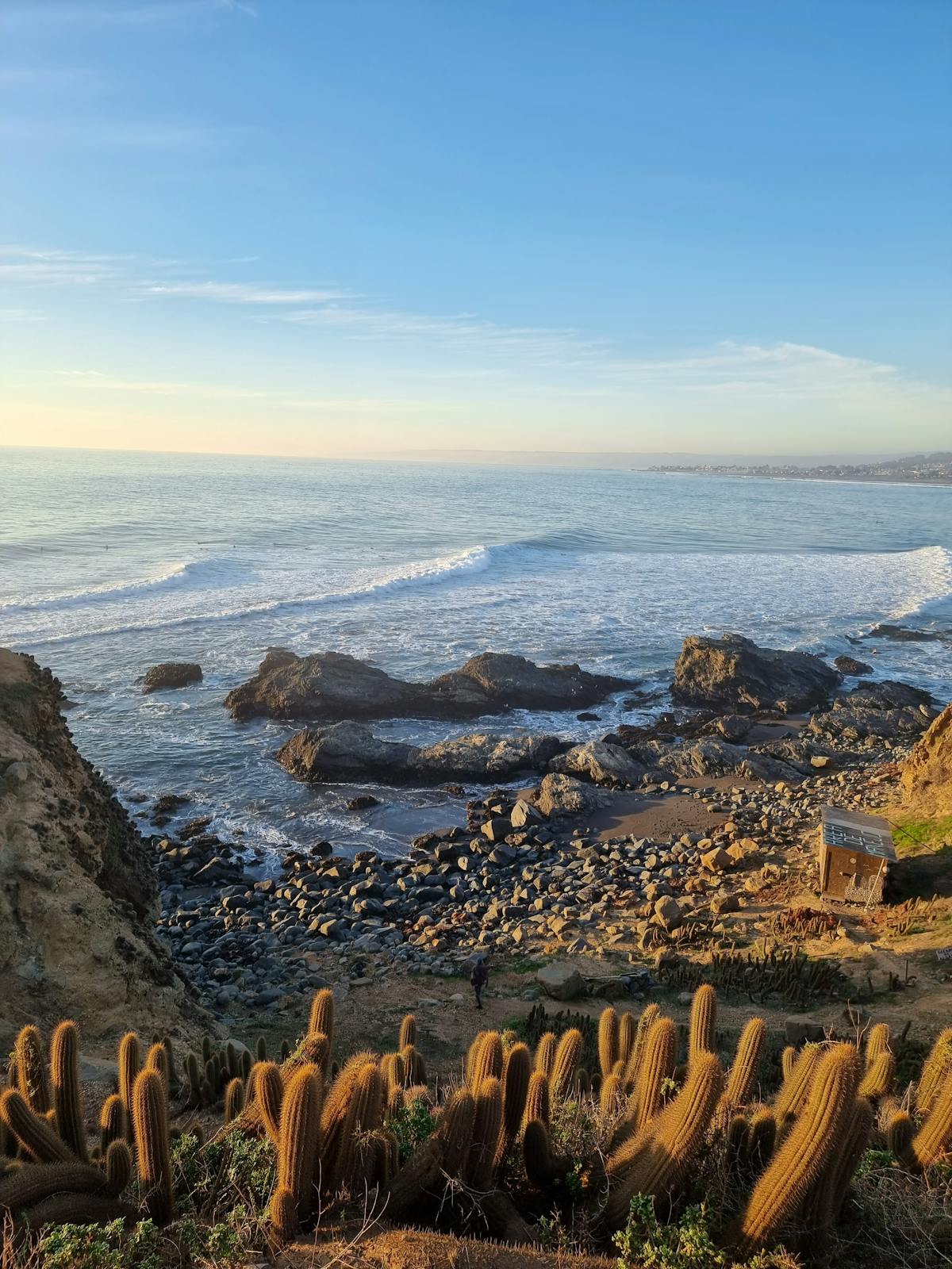 Coastal landscape of Pichilemu with rocky shores, cacti, and clear sky