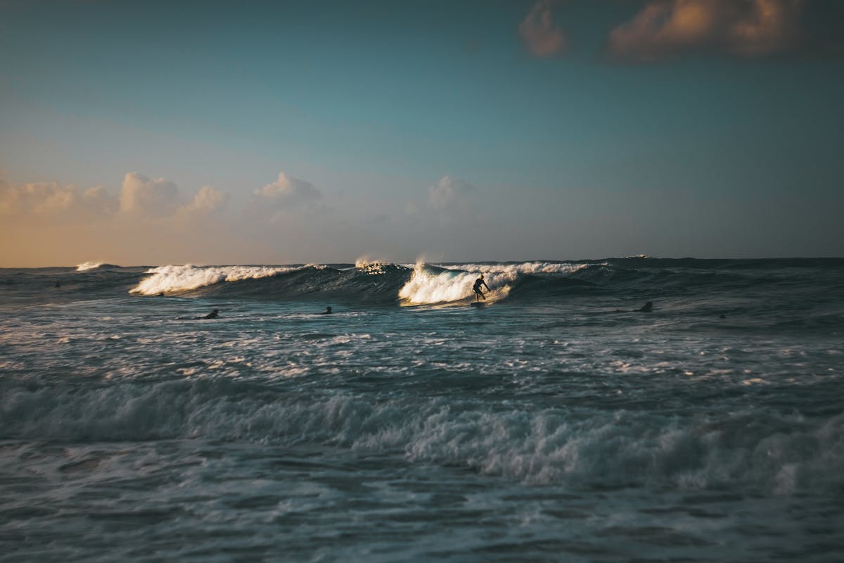 Surfers at beach during golden sunset with waves in the background
